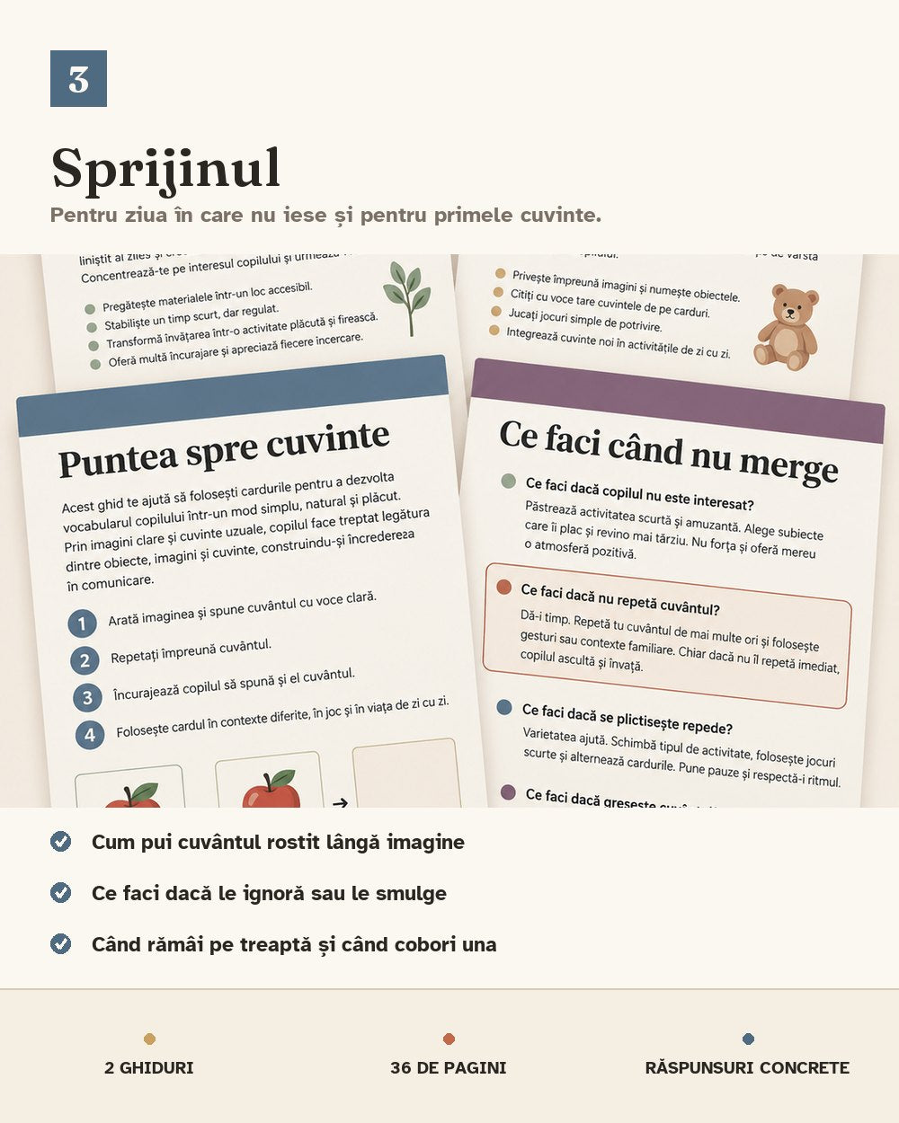Sprijinul: Puntea spre Cuvinte și Ce Faci Când Nu Merge